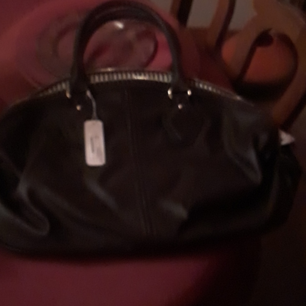 Ladies Handbag